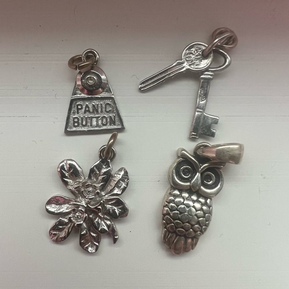 Silver Charm Set with Owl, Flower, Key, and Panic Button